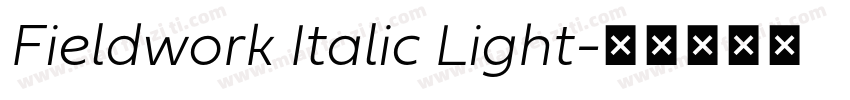 Fieldwork Italic Light字体转换
